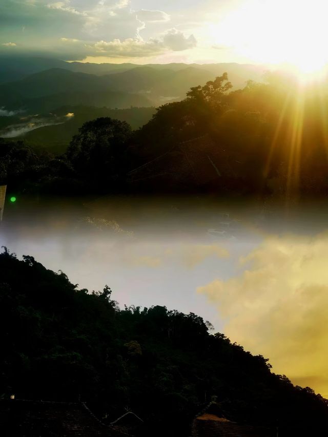 景迈山▲旅行當地人才會告訴您的寶藏攻略