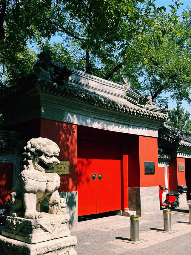 國保打卡：法源寺（國五）。