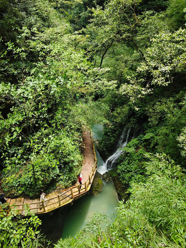 重慶黑山谷|幽峽峭壁瀑布自然景觀。