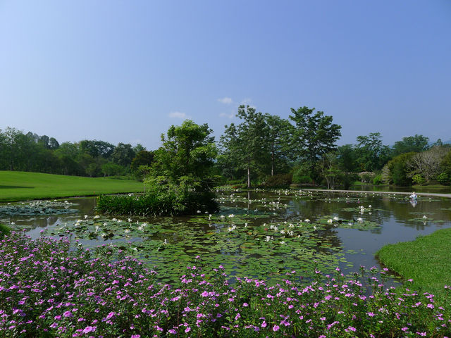 熱帶植物園·百花園——花的海洋。