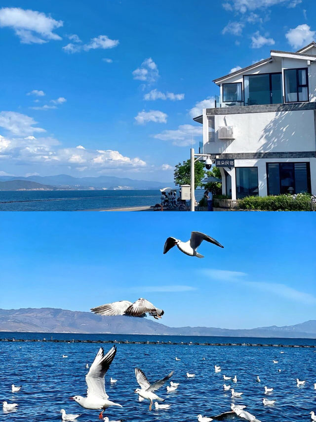 雲南旅行 | 瀘沽湖秋景絕美，美得令人驚艷。