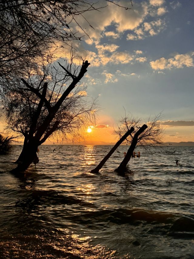 小眾寶藏，撈河漁濕地公園。