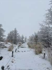 長野冬季限定｜在美原高原看雪景與星空