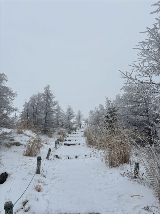 長野冬季限定｜在美原高原看雪景與星空