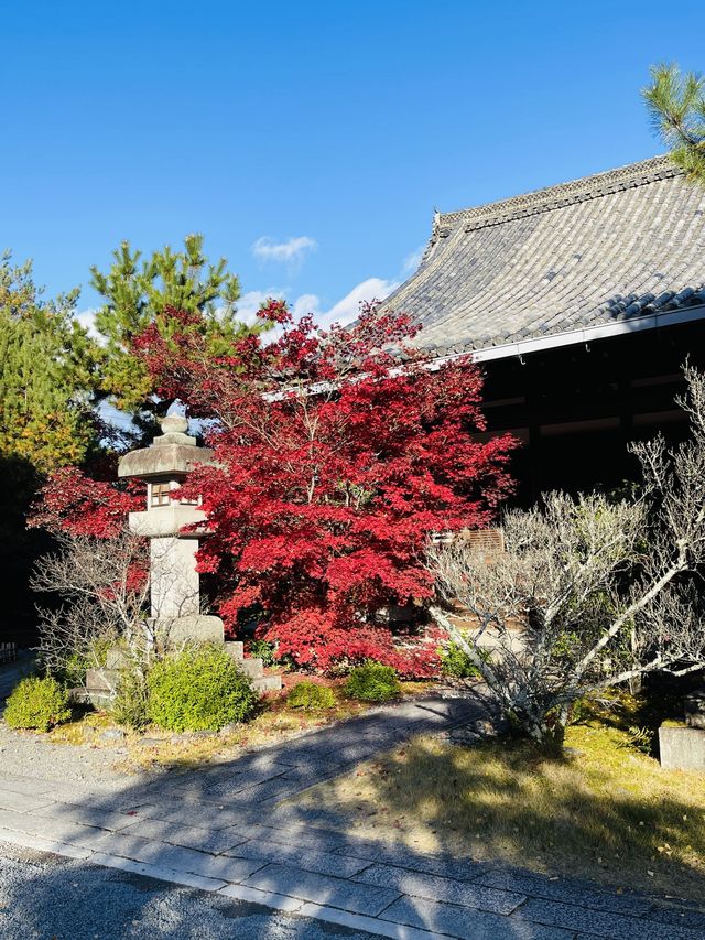 日本·京都清涼寺