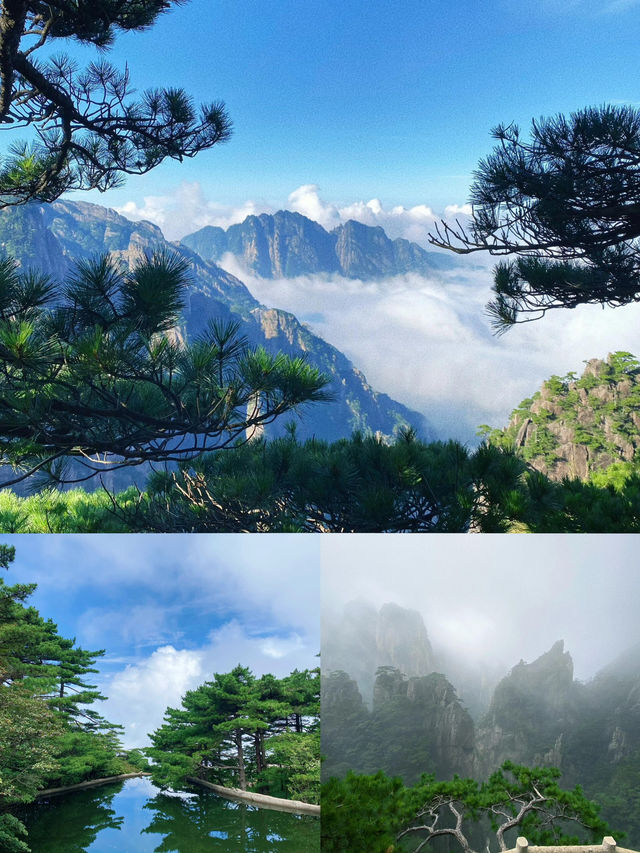 黃山自古雲成海