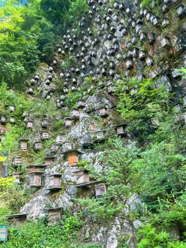 神農架等地3日遊 玩轉神秘仙境必打卡景點全攻略