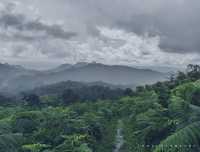 Mount LoiMi Trek: A Journey through Shan State