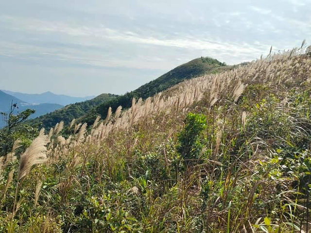 這個天氣爭取時間行山去