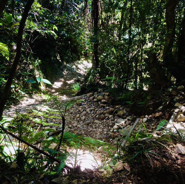 Stunning Scenery on the Way to Mount Kinabalu