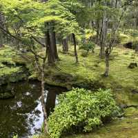 【苔寺】千年歷史，1-1.5小時遊覽