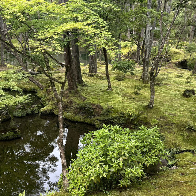 【苔寺】千年歷史，1-1.5小時遊覽