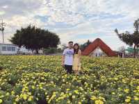 Pretty Flower field 🌷🪻at Taichung