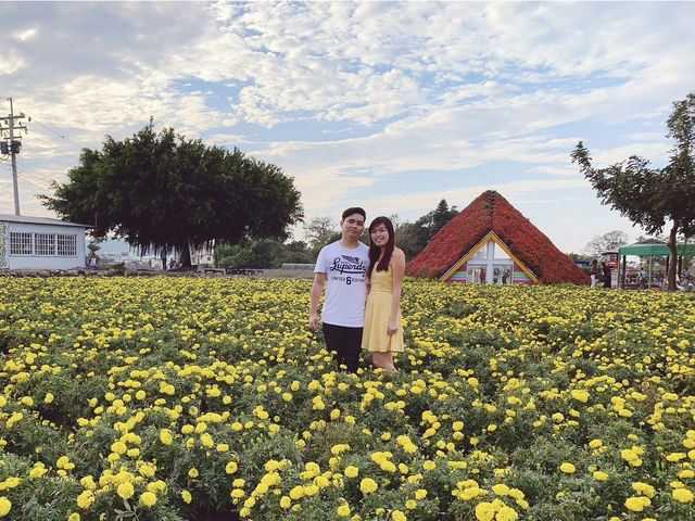 Pretty Flower field 🌷🪻at Taichung