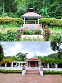 Peaceful Stroll at Penang Botanic Gardens 