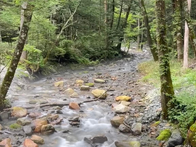 上高地 日本長野旅行 自然美景之旅