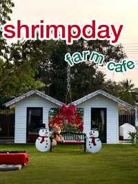 shrimpday farm cafe