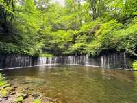 Discovering Shiraito Falls