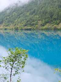 Jiuzhaigou 🏞️ My Favourite Destination in 2024: Lakes and Mountain Scenes