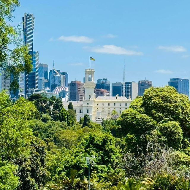 A Summer Escape: Melbourne’s Royal Botanic Gardens