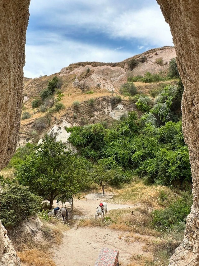 Horse riding in Red Rose Valley 🔆