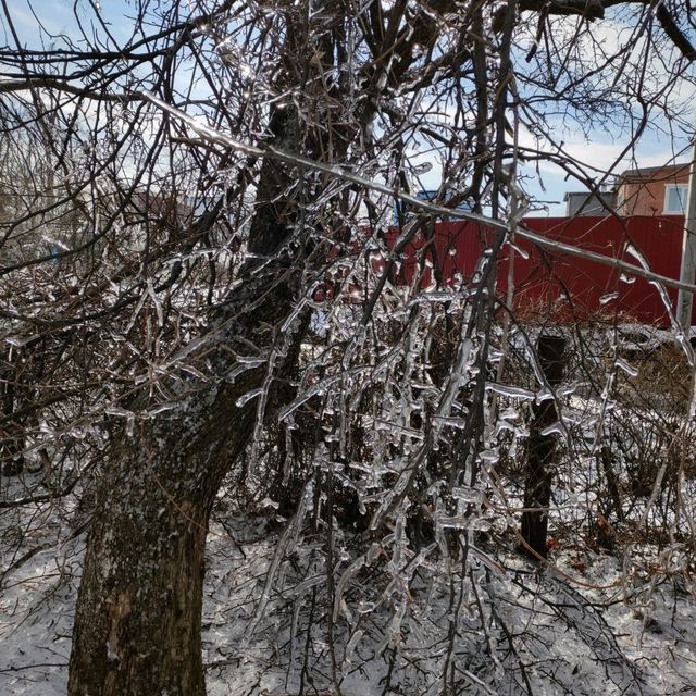 Icy Rain Wonderland in Primorsky Krai  