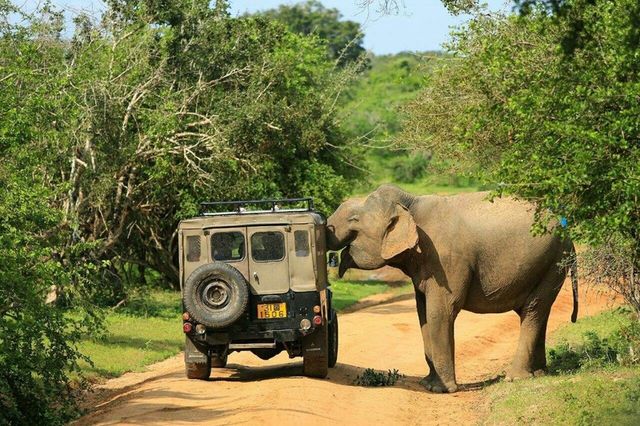 8-day trip to explore Sri Lanka, classic travel tips and off-the-beaten-path experiences fully revealed!