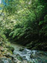 重慶｜沉浸山水間，夏日避暑溪降好清涼