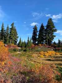 Mt Baker 賞秋Chain Lakes 徒步