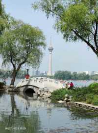 走進玉淵潭公園，邂逅浪漫花海