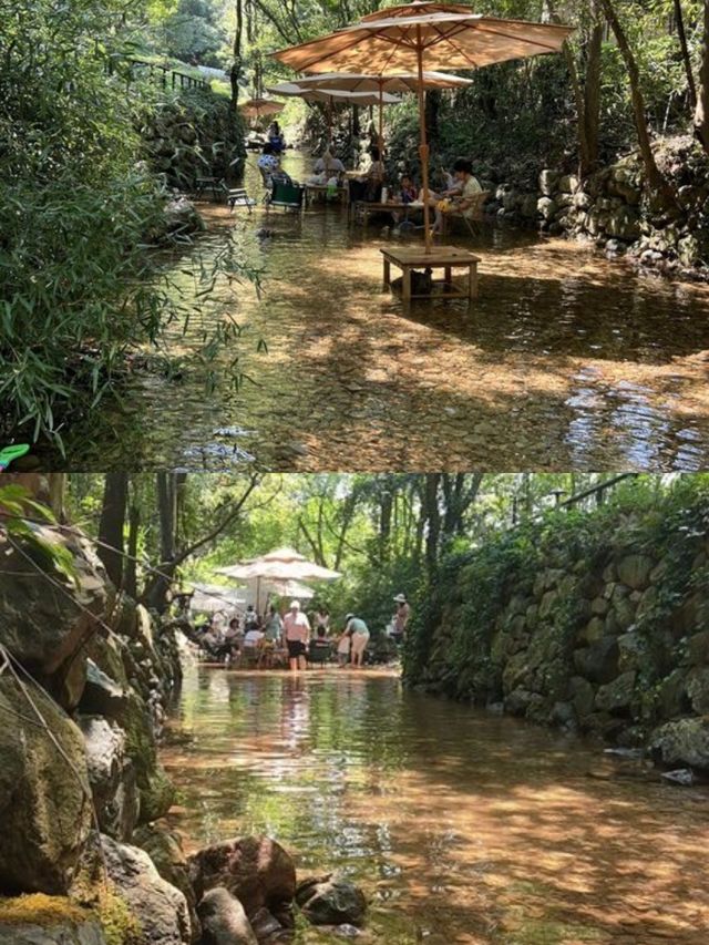 富春芳草地|住進百畝依山傍水的天然林地裡