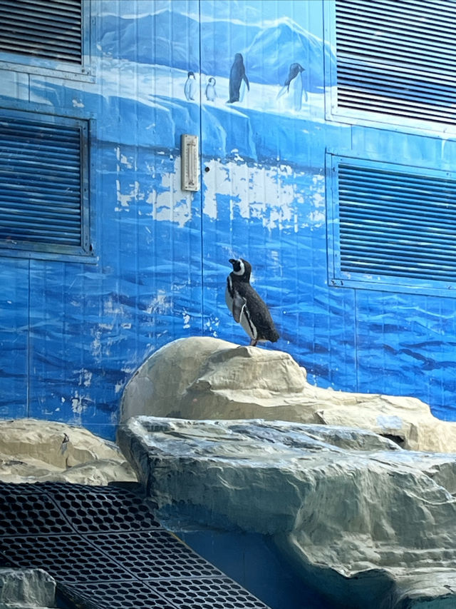 中國開放最早的動物園——北京動物園