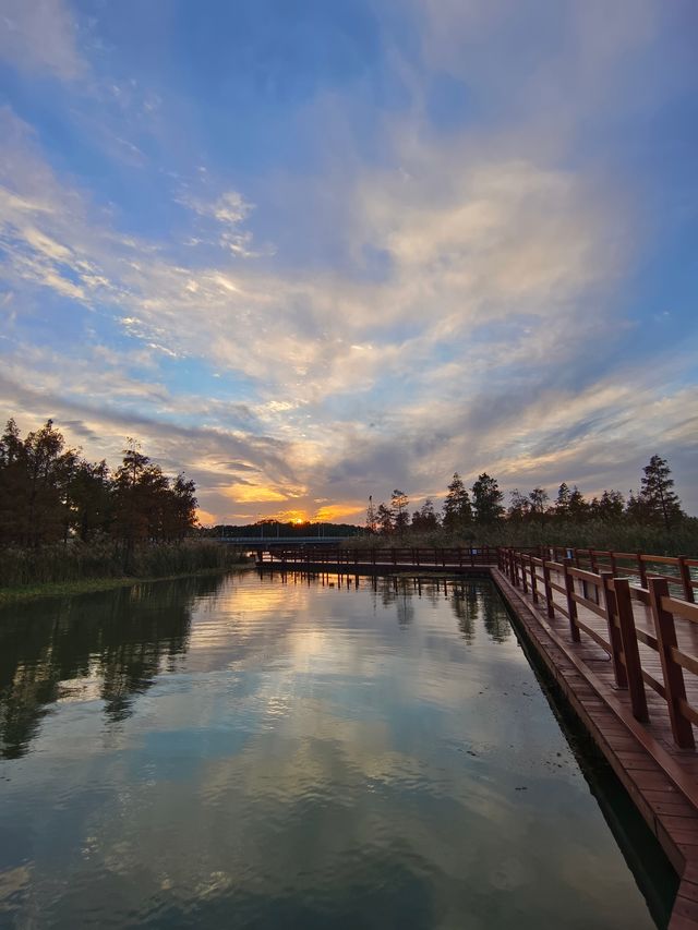 0元打卡蘇州小眾絕美公園秋景。