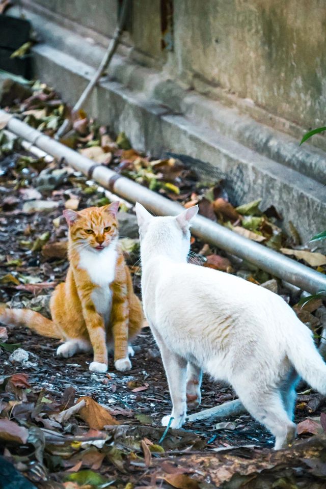 越秀公園。