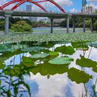 水墨畫中的城市綠洲