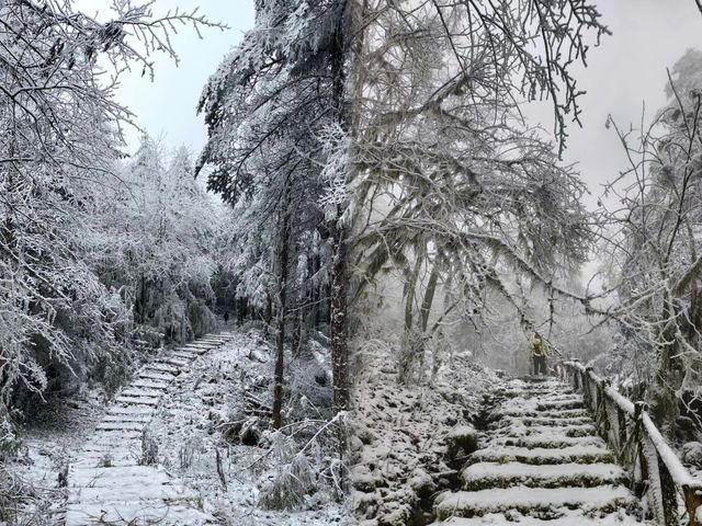 樂山峨邊杜鵑池徒步玩雪攻略