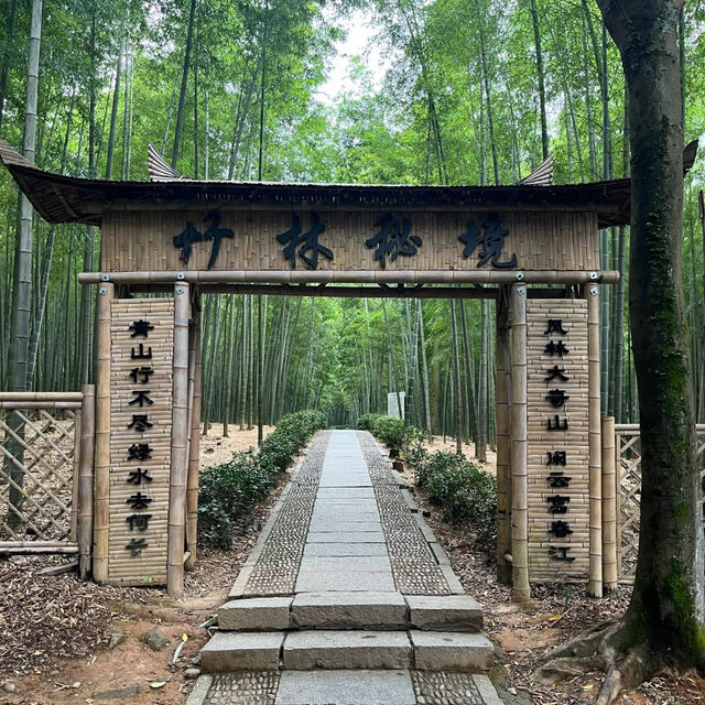 大奇山國家森林公園：山水之間的靜謐天地