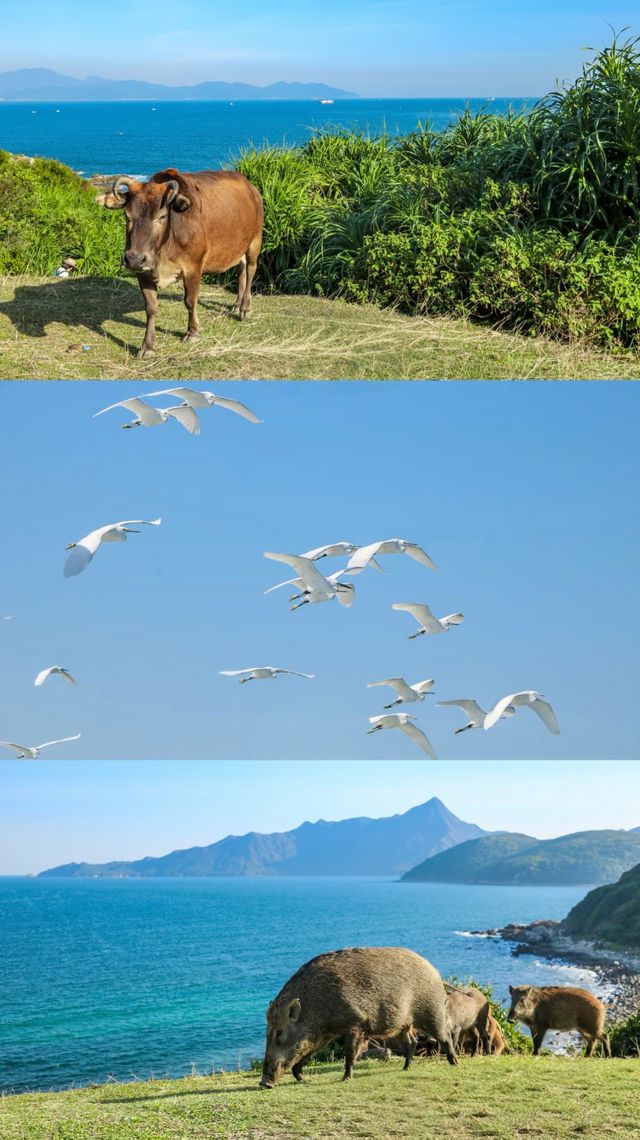 香港這個海島 一定要在晴天的時候去