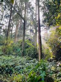 南寶山旅遊度假區｜探索自然秘境，享受寧靜時光