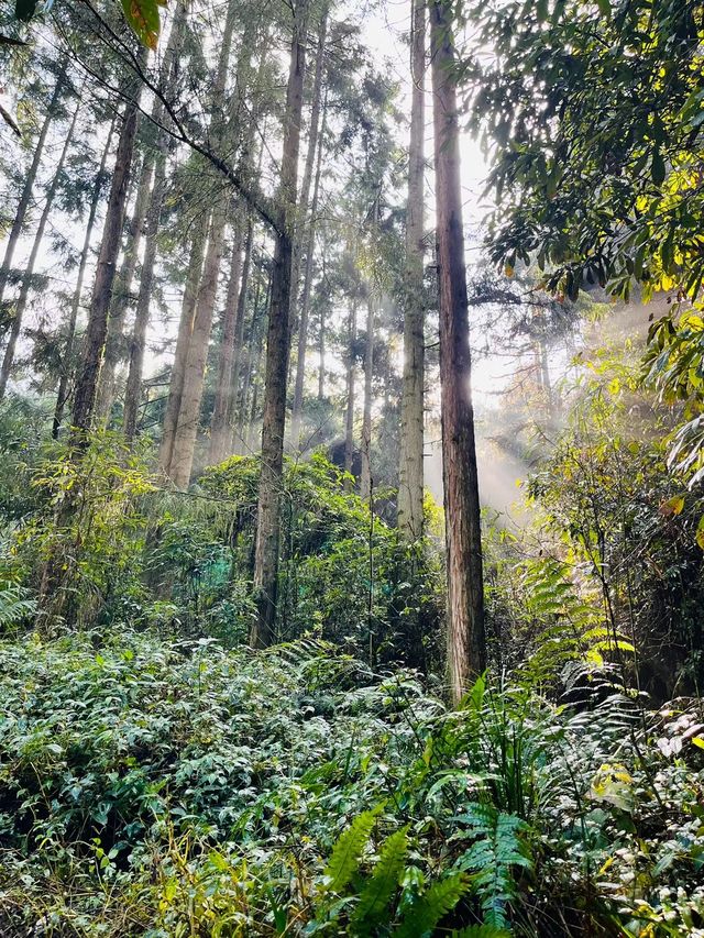 南寶山旅遊度假區｜探索自然秘境，享受寧靜時光