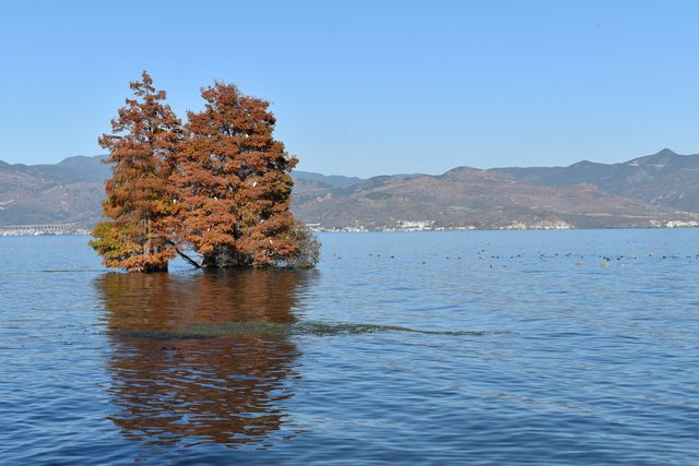 廊橋遺夢，一個很美的地方