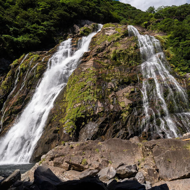 Emerald Isle of the Gods: Yakushima's Pristine Paradise