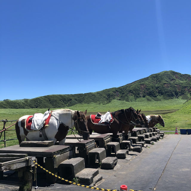 【熊本阿蘇火山】親子遊自然奇觀，人均6000jpy