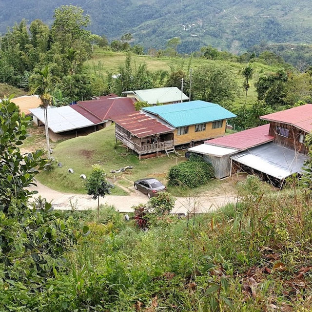 A Slice of Alpine Heaven: Discover the Tranquil Landscapes of Kundasang, Sabah