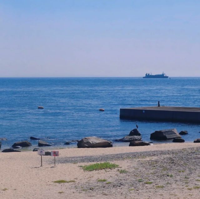 老虎海灘🏖️ 水清砂幼的海洋樂園！🏖️🌊