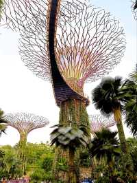 Exploring the Enchantment of Gardens by the Bay