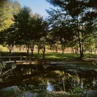 nami island neomuuu joahaeyooo~ 