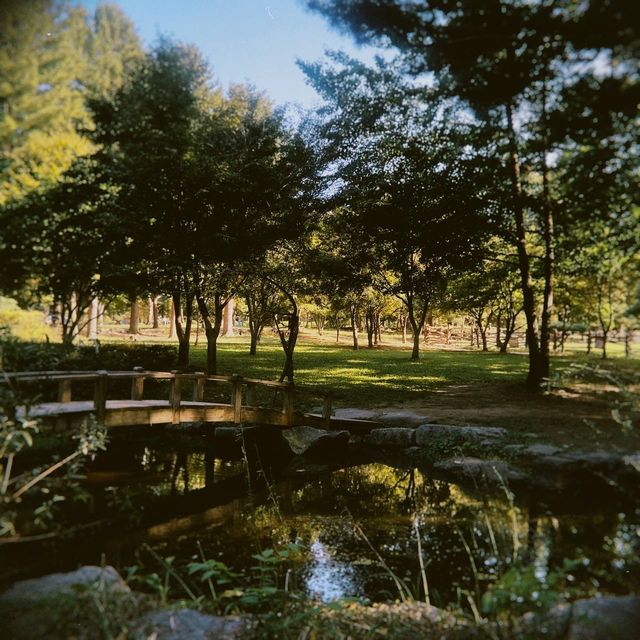 nami island neomuuu joahaeyooo~ 