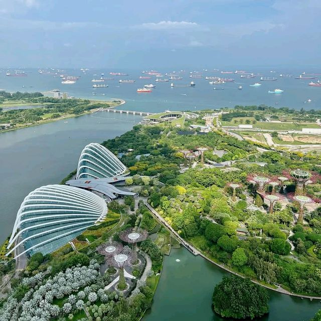 Views from Marina Bay Sands SkyPark