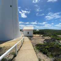 Beacon of Serenity: Cape Nelson Lighthouse